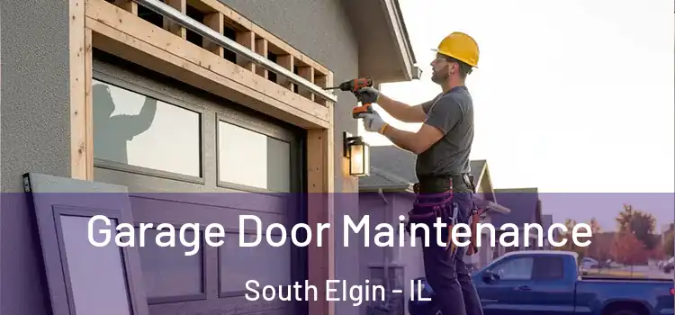 Garage Door Maintenance South Elgin - IL