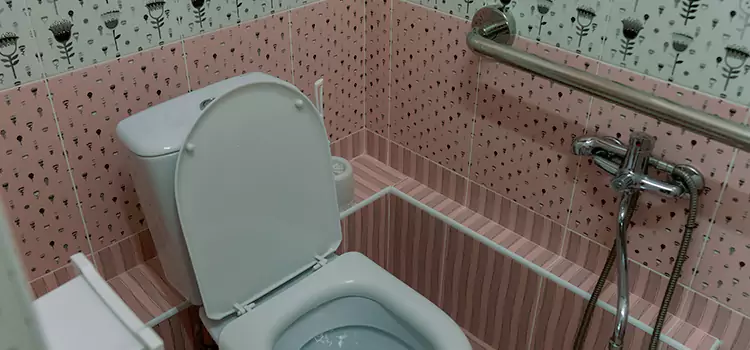 Meeting Diverse Needs With Accessible Restroom Solutions in South Elgin, IL