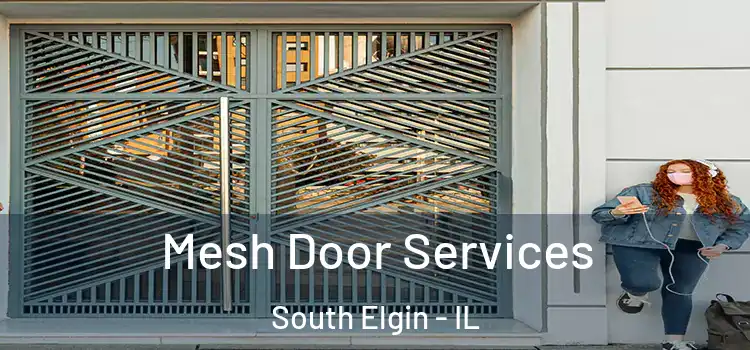 Mesh Door Services South Elgin - IL