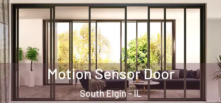 Motion Sensor Door South Elgin - IL